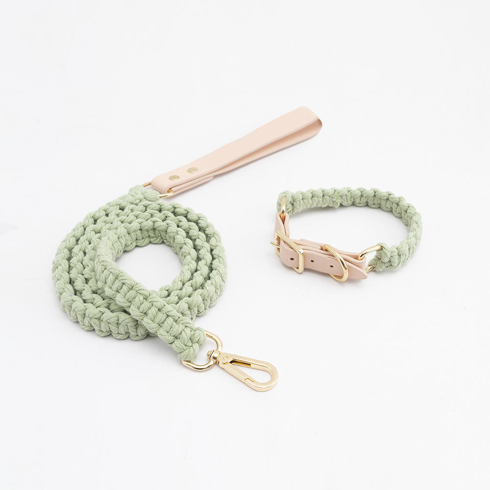 Leather & Cotton Dog Collar and Lead Set